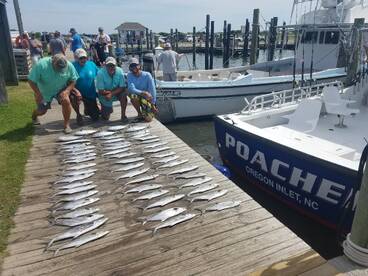 Nags Head Report Photo 2