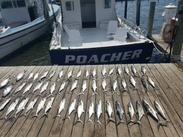 Nags Head Report Photo 1