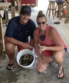 Cedar Key Report Photo 2