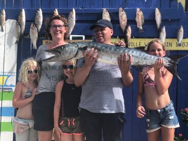 Great BARRACUDA AND LIMIT OF MANGROVES 
