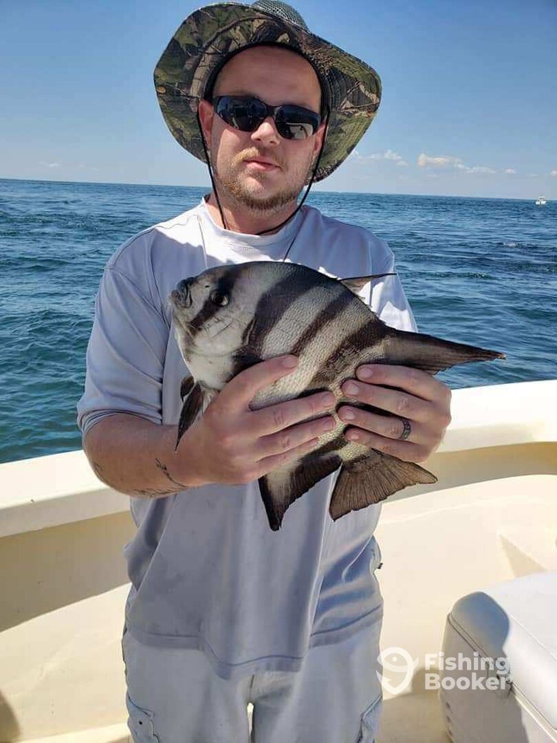 Poquoson Report Photo 0
