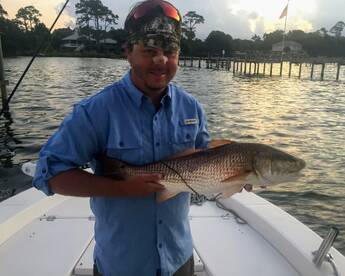 The first couple of hours of daylight.