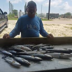 Some more Trout action at The Beach