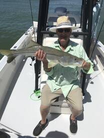 Marco Island Report Photo 1
