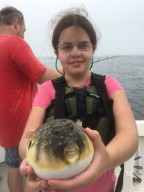 Lacey Township Report Photo 1