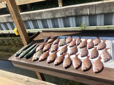 Destin Report Photo 2