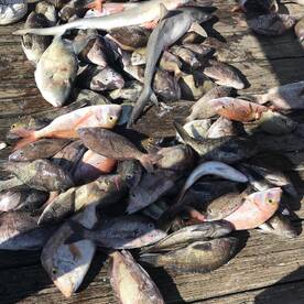 Carolina Beach Report Photo 2