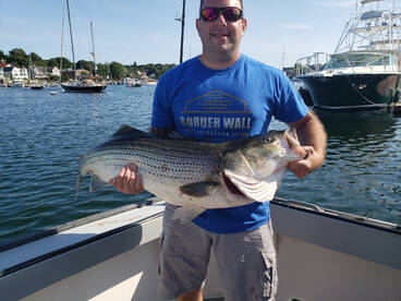 Gloucester Report Photo 1