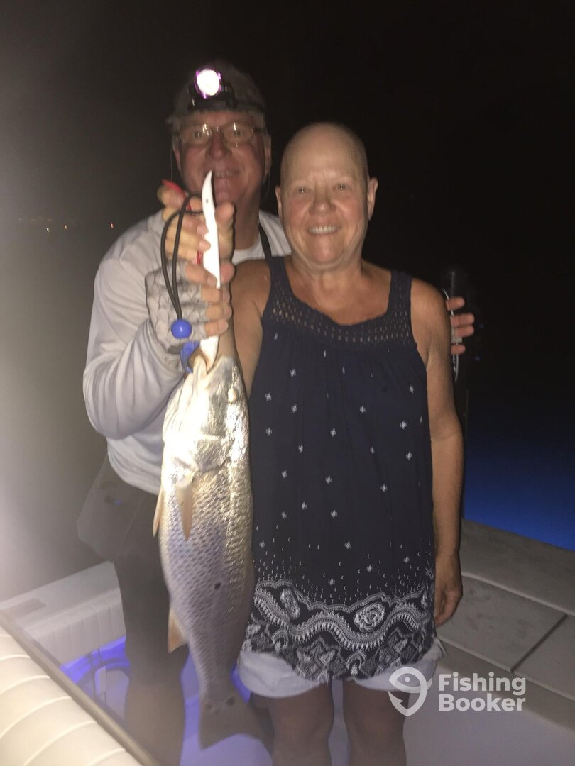 Sarasota Report Photo 0