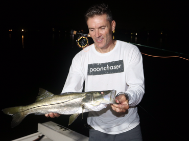 Snook on fly 