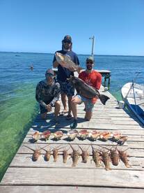 San Pedro Report Photo 1