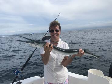 The famous needlefish