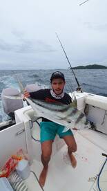 Panama City Report Photo 1