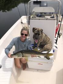 Palma Sola Scouting 8/19