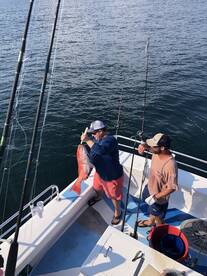 Orange Beach Report Photo 1