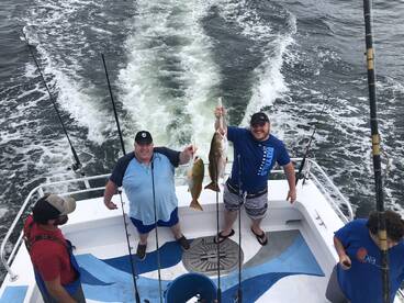Orange Beach Report Photo 2