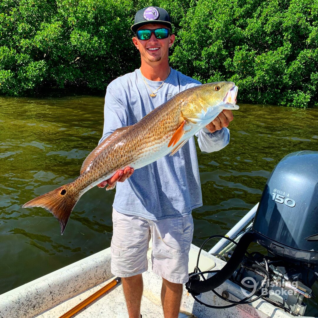 Overslots Redfish are here!