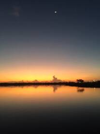 Jacksonville Report Photo 2