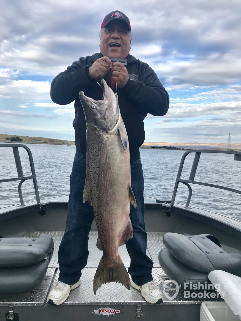 These beauties are waiting for you.