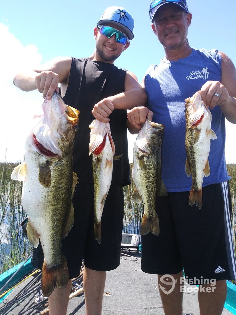 Tarpon Springs Report Photo 0