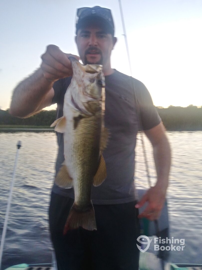 Tarpon Springs Report Photo 0