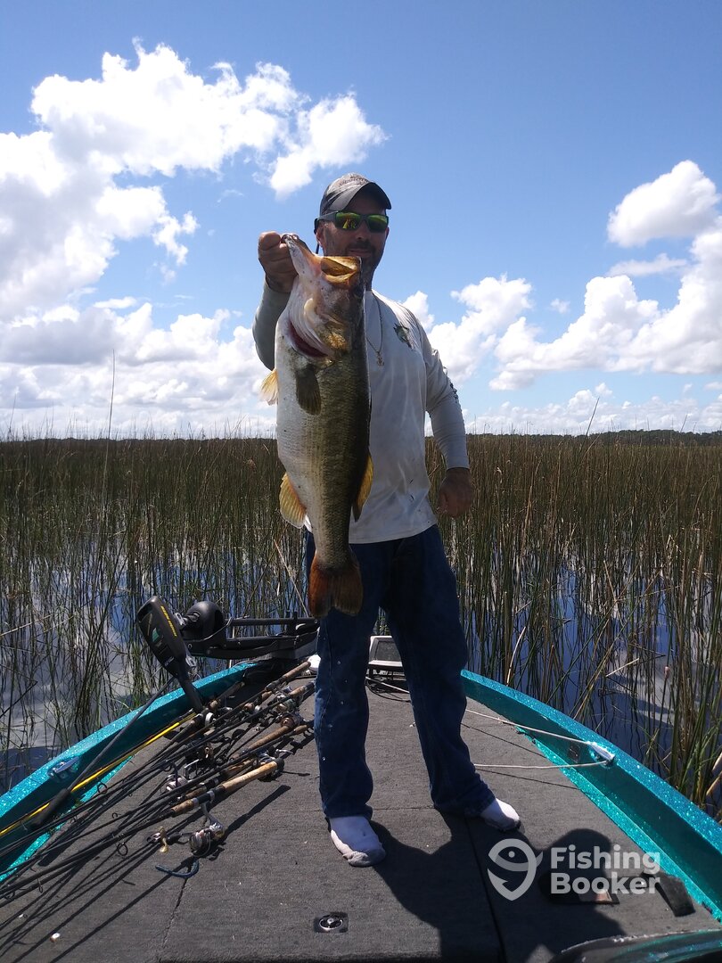 Tarpon Springs Report Photo 0