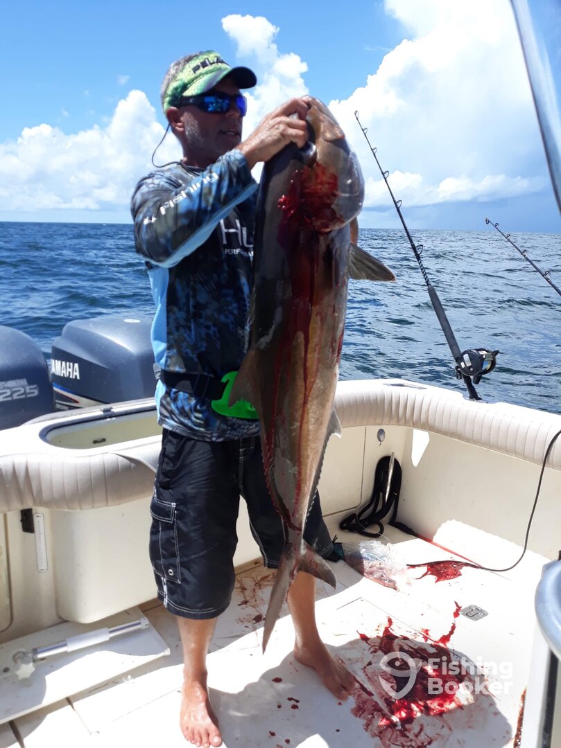 Gulf Shores Report Photo 0