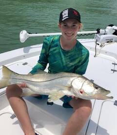 big snook are chewing