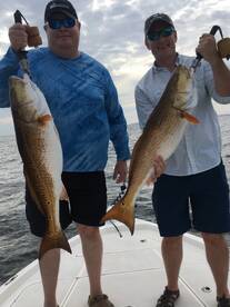 More Destin Bull Reds!