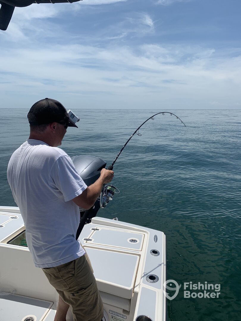 Marco Island Report Photo 0