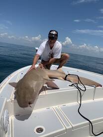 Marco Island Report Photo 2