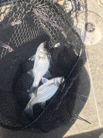 Jackson Lake still on fire!