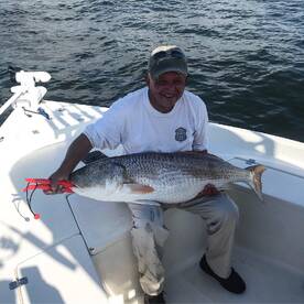 Solomons Report Photo 1