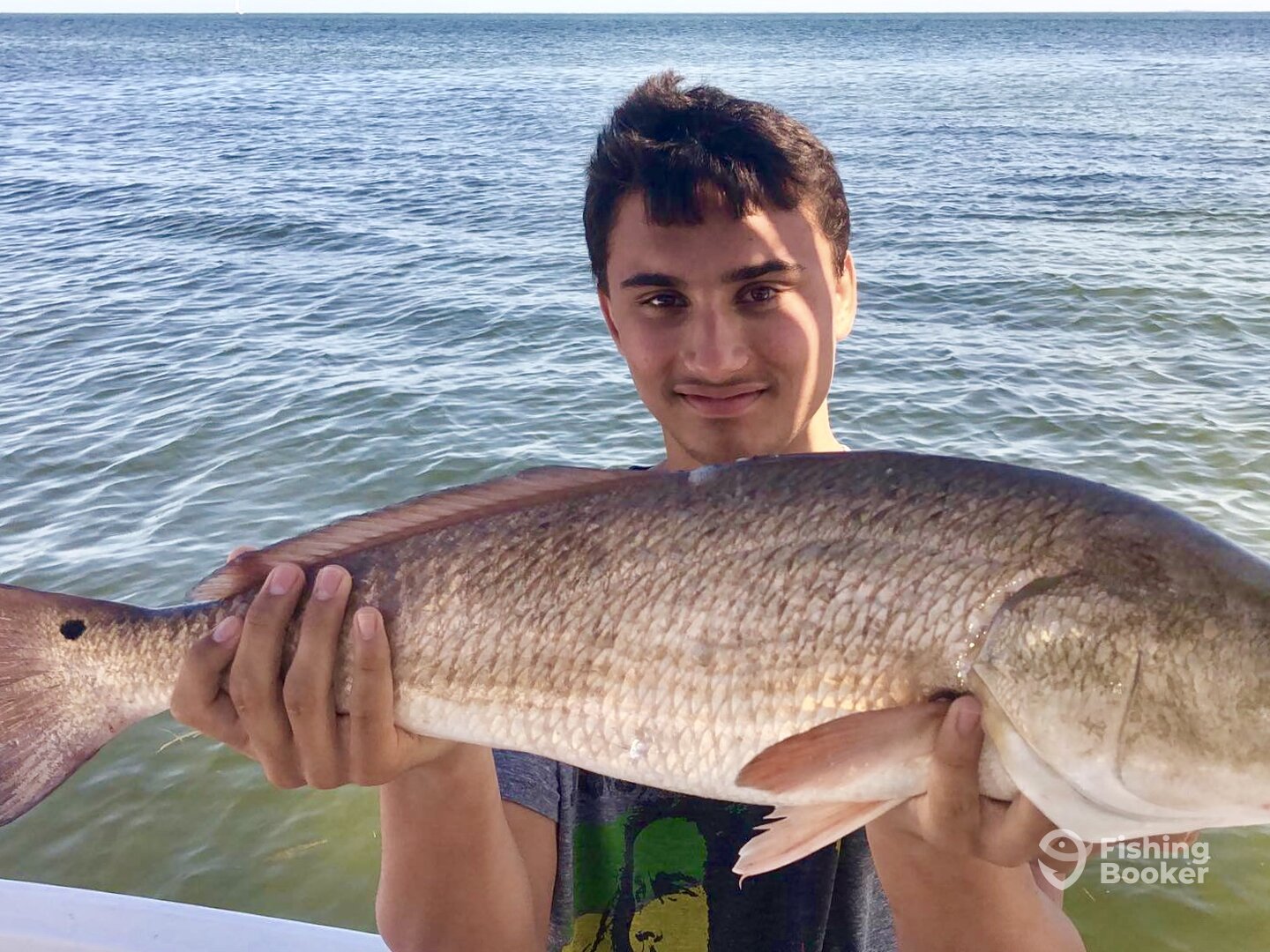 Sarasota Report Photo 0