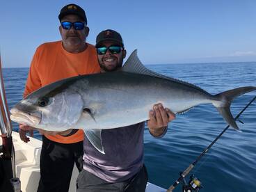 Sarasota Report Photo 2