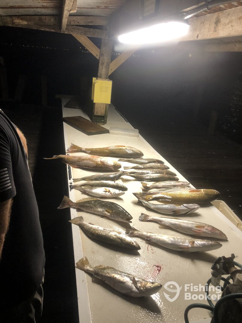 San Leon Report Photo 0