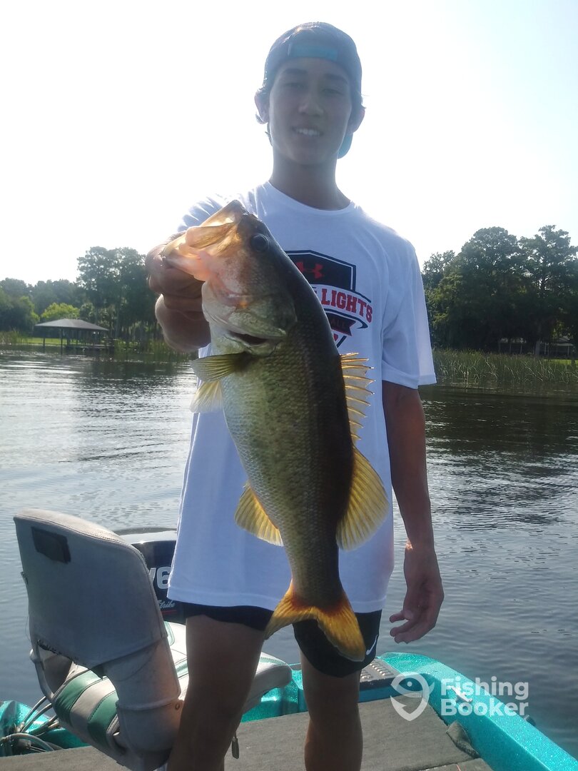 Tarpon Springs Report Photo 0