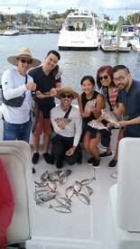 New York City Report Photo 1