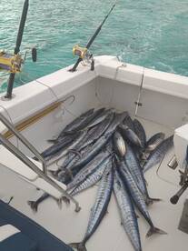 Le Morne Report Photo 2