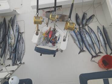 Le Morne Report Photo 1