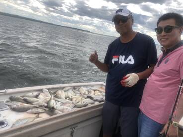 New Rochelle Report Photo 2