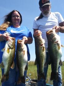 Lake toho