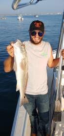 Port Orange Report Photo 1