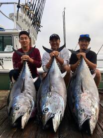 Big Bluefin Tuna Biting!