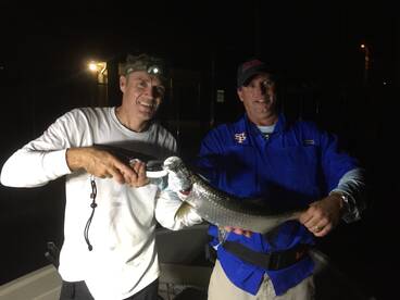 First tarpon 