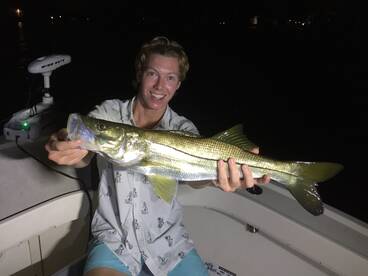 Summer Snook !  