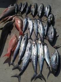 Key West Report Photo 2