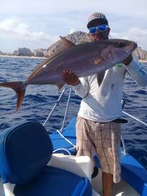 Cabo San Lucas Report Photo 1