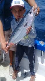 Cabo San Lucas Report Photo 2