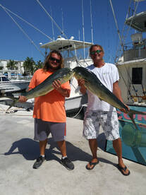 Big Dolphin (Mahi Mahi